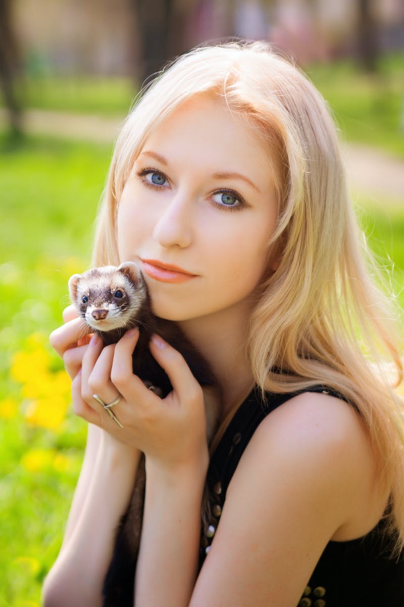 why are ferrets illegal in california