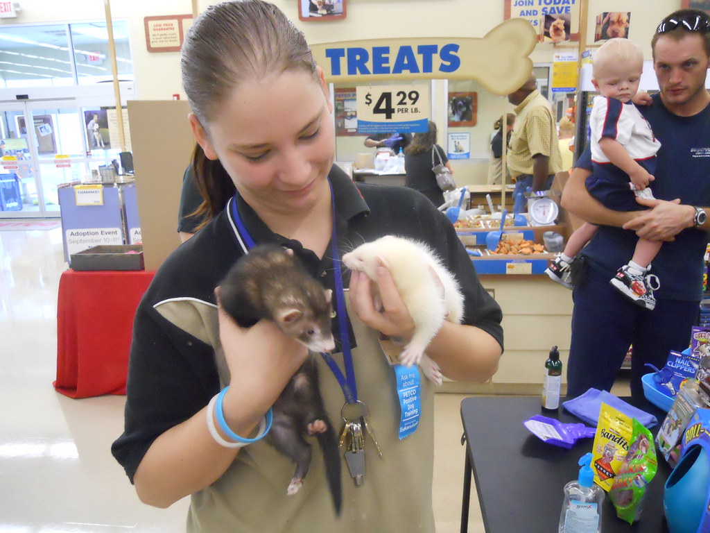 how much are the ferrets at petco