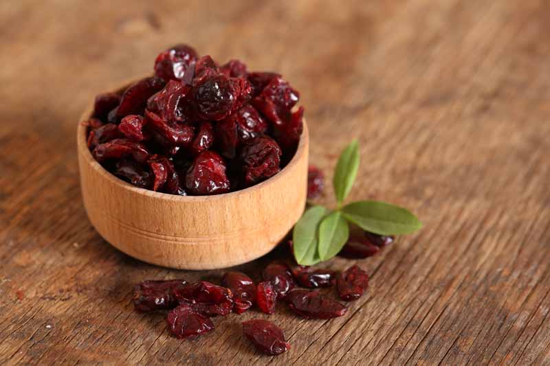 can birds eat dried cranberries