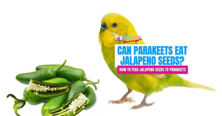 can birds eat jalapenos