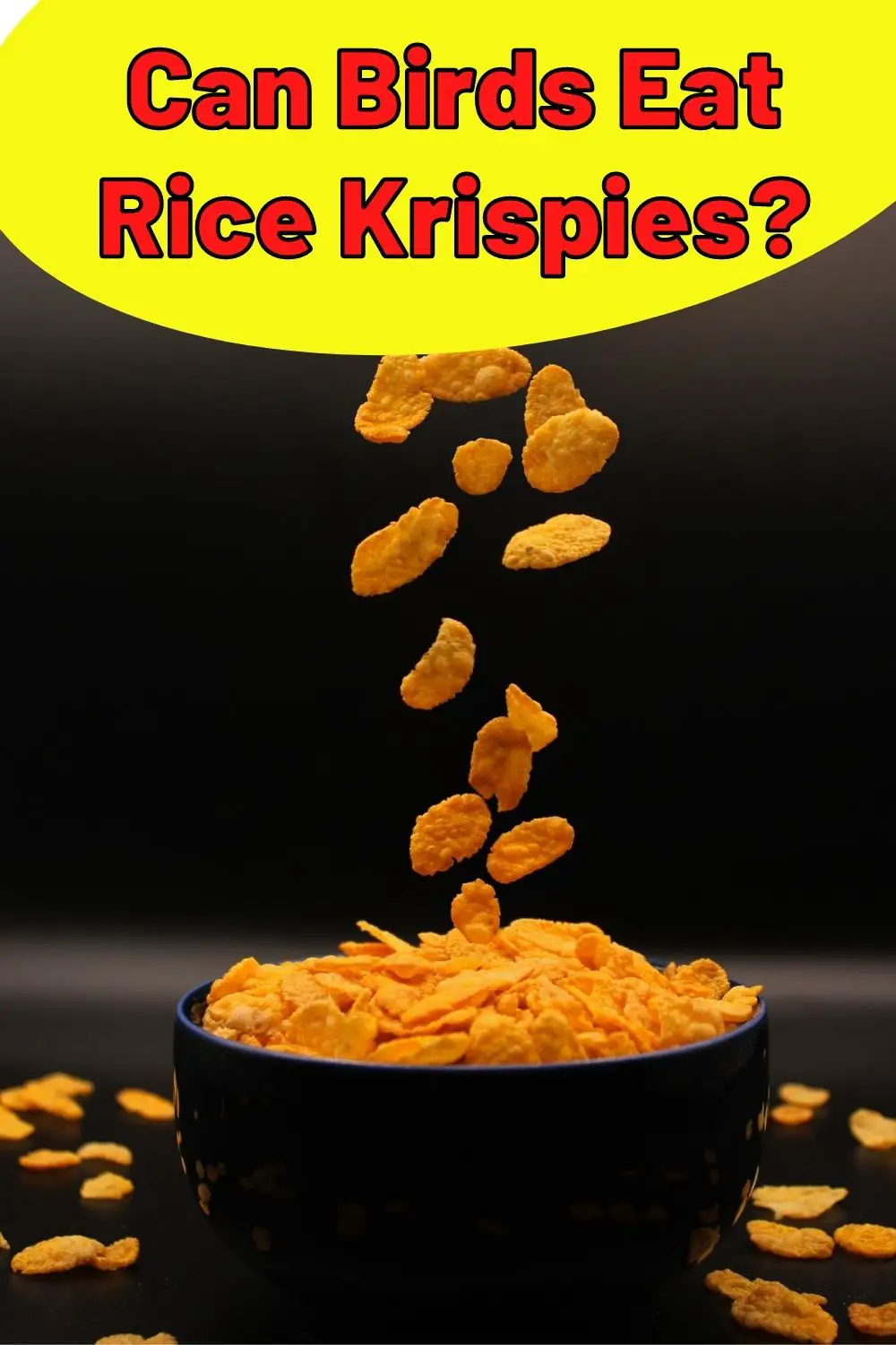 can birds eat rice krispies