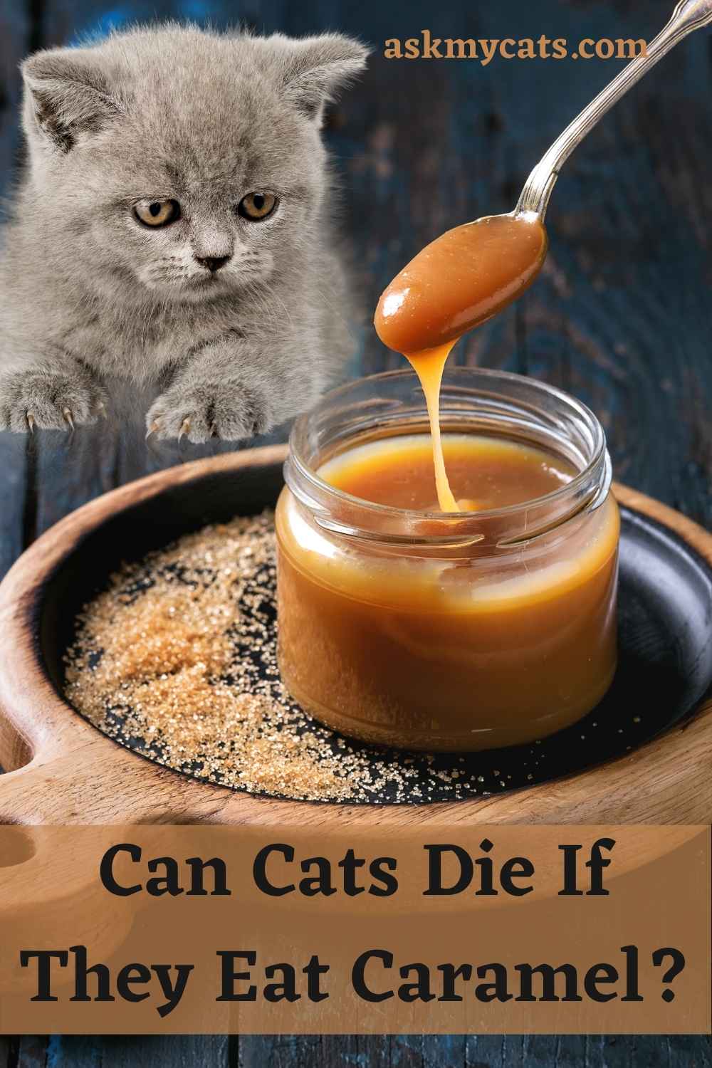can cats eat caramel