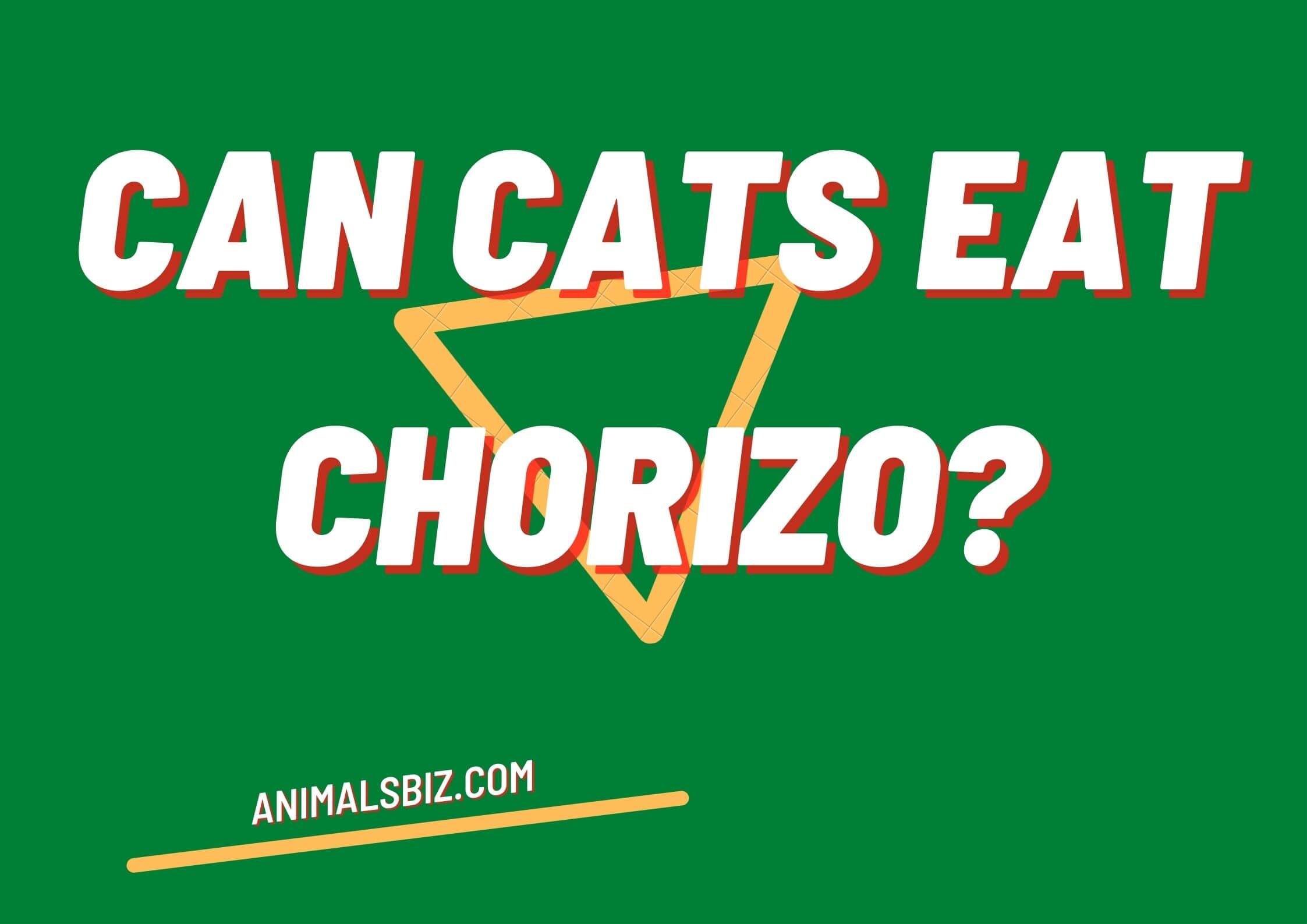 can cats eat chorizo