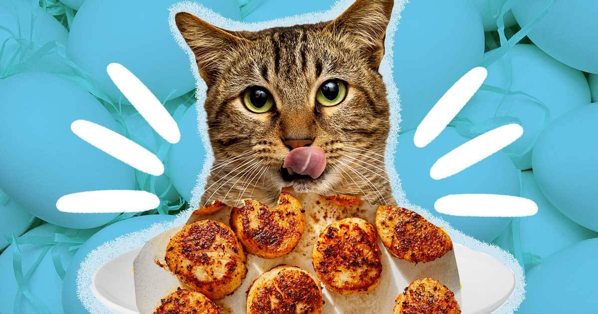 can cats eat scallops