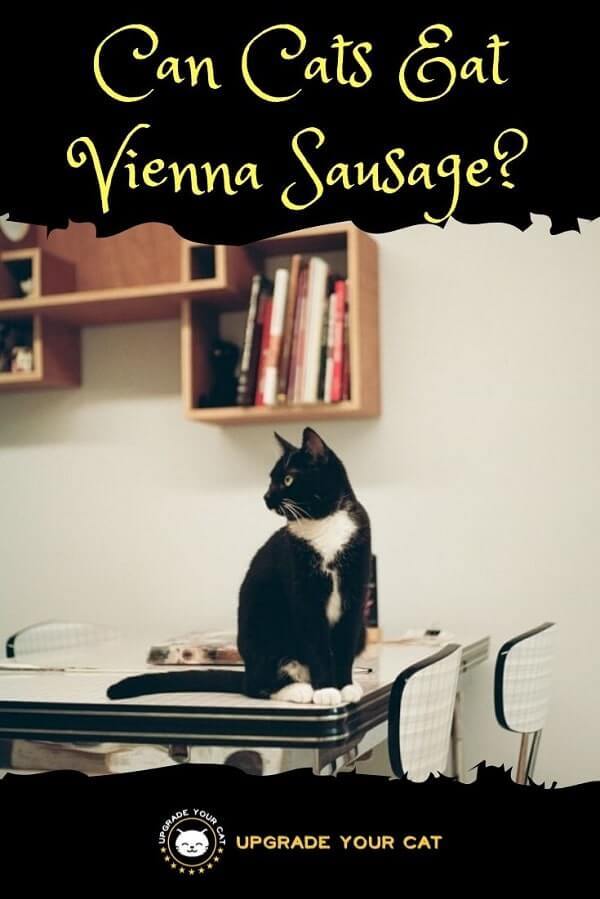 can cats eat vienna sausages