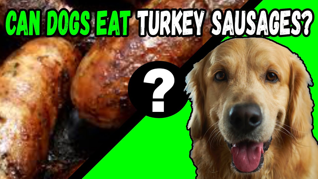 can dogs eat turkey sausage