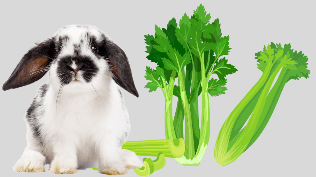 can rabbits eat celery leaves