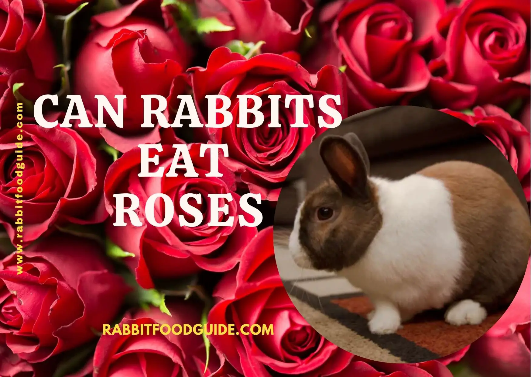 can rabbits eat flowers