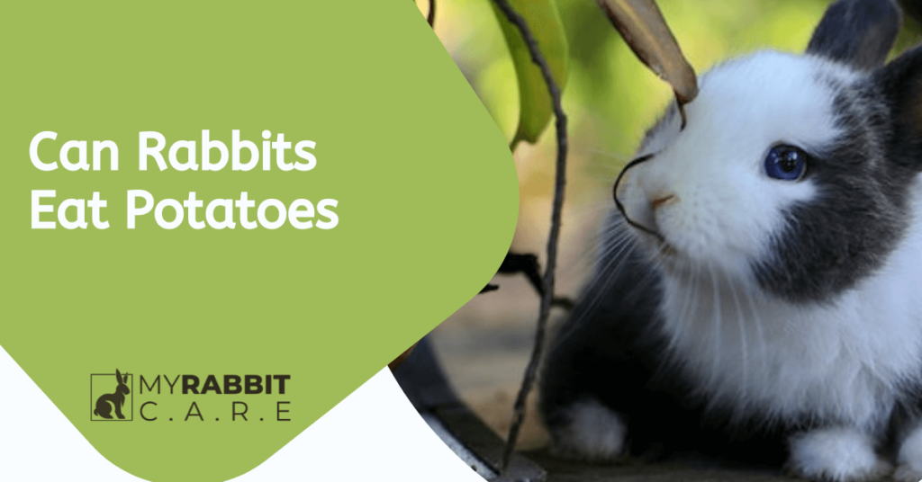 can rabbits eat potato