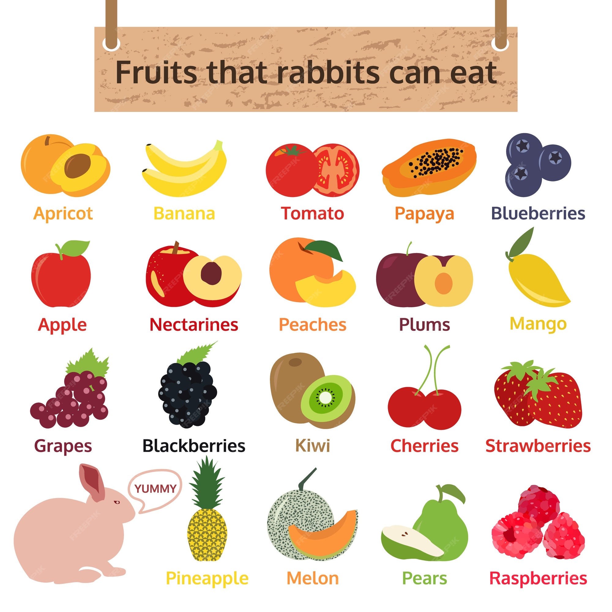 what fruits can rabbits eat