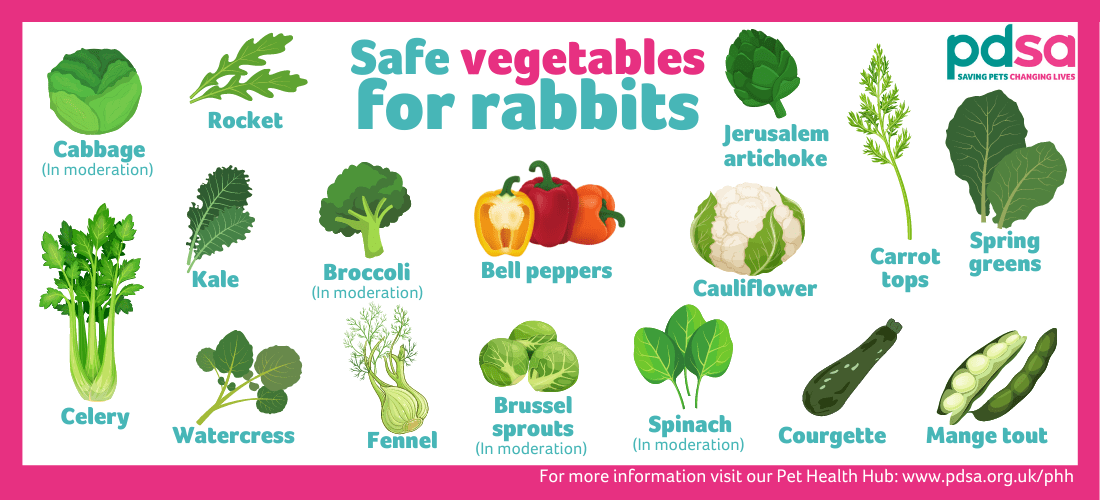 what veg can rabbits eat daily